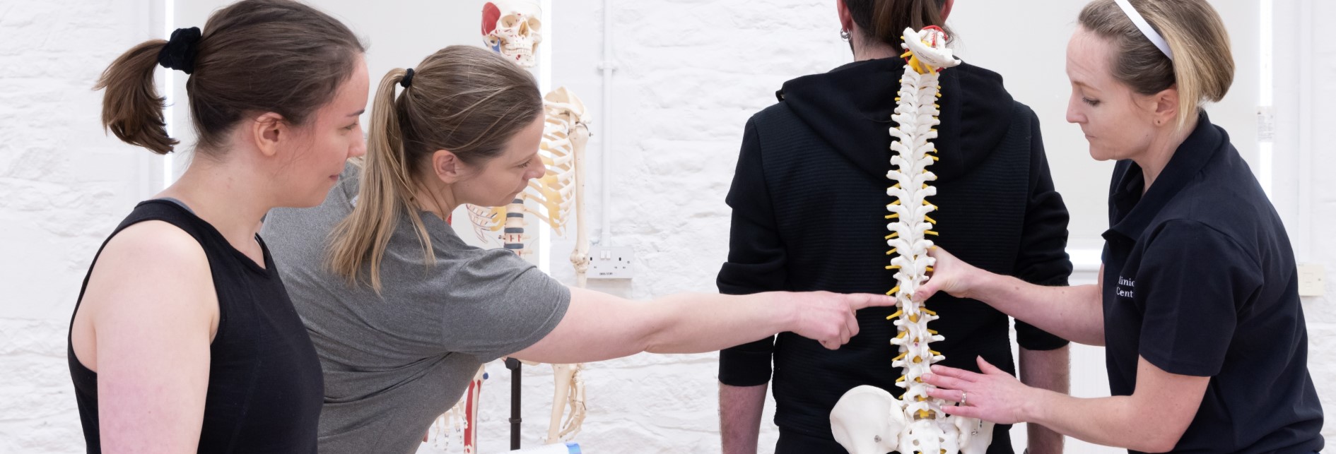 3 ladies examining an anatomic module of a spine held up against a fourth persons back